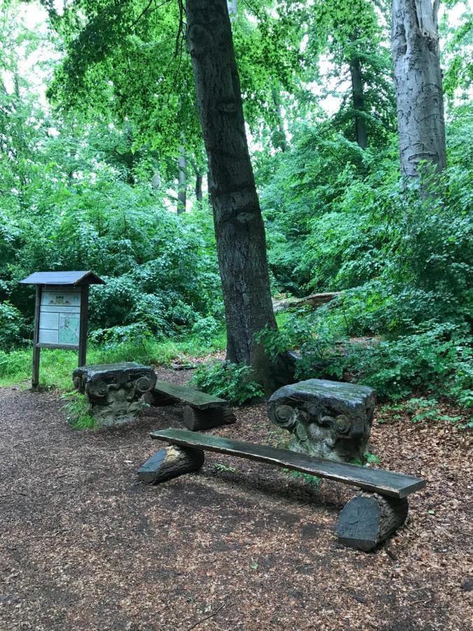 Ferienwohnung Auszeit Am Kurpark Bad Berka - Balkon - Ruhige Lage- Gratis Parkplatz & Wlan Eksteriør billede